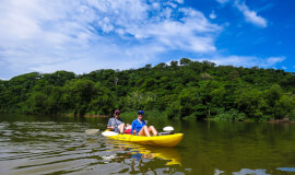 MANGROVE KAYAKING