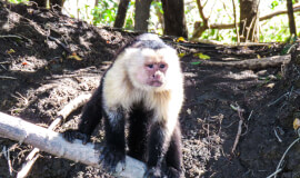 PALO VERDE NATIONAL PARK BOAT TRIP WILDLIFE