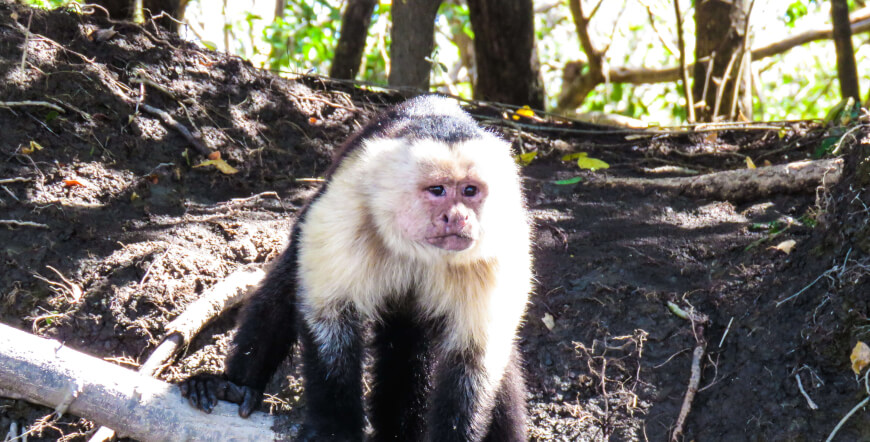 PALO VERDE NATIONAL PARK BOAT TRIP WILDLIFE